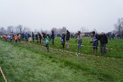DSC00520 DSC00520